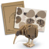 Kiwi Wooden Model Kits Assembled
